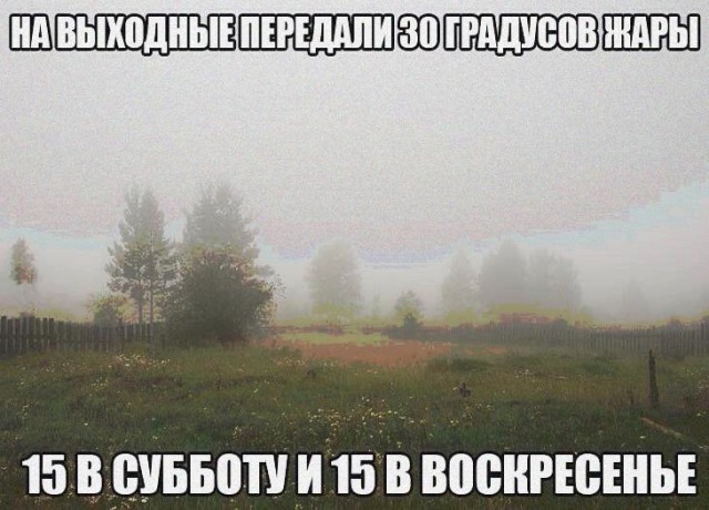 Весёлый полтишок 24.05.22