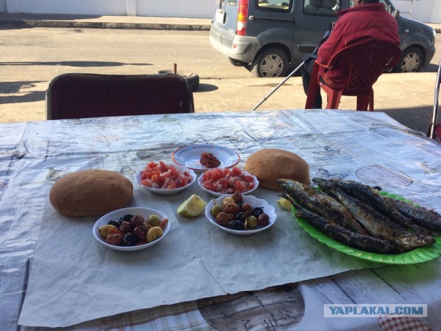 Десять самых отвратительных продуктов, которые едят люди ‒ гастрономический мазохизм