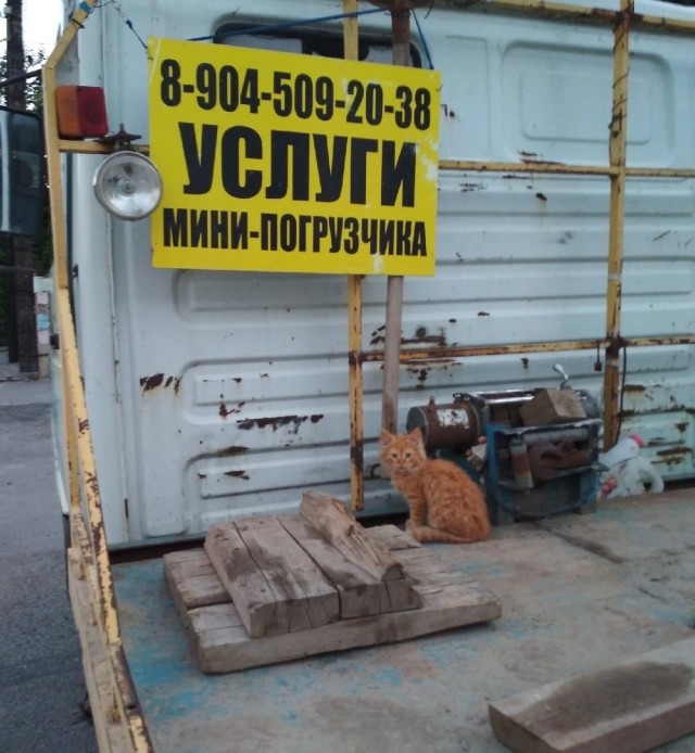 Картинки и мемы. Выходные близко, близко...