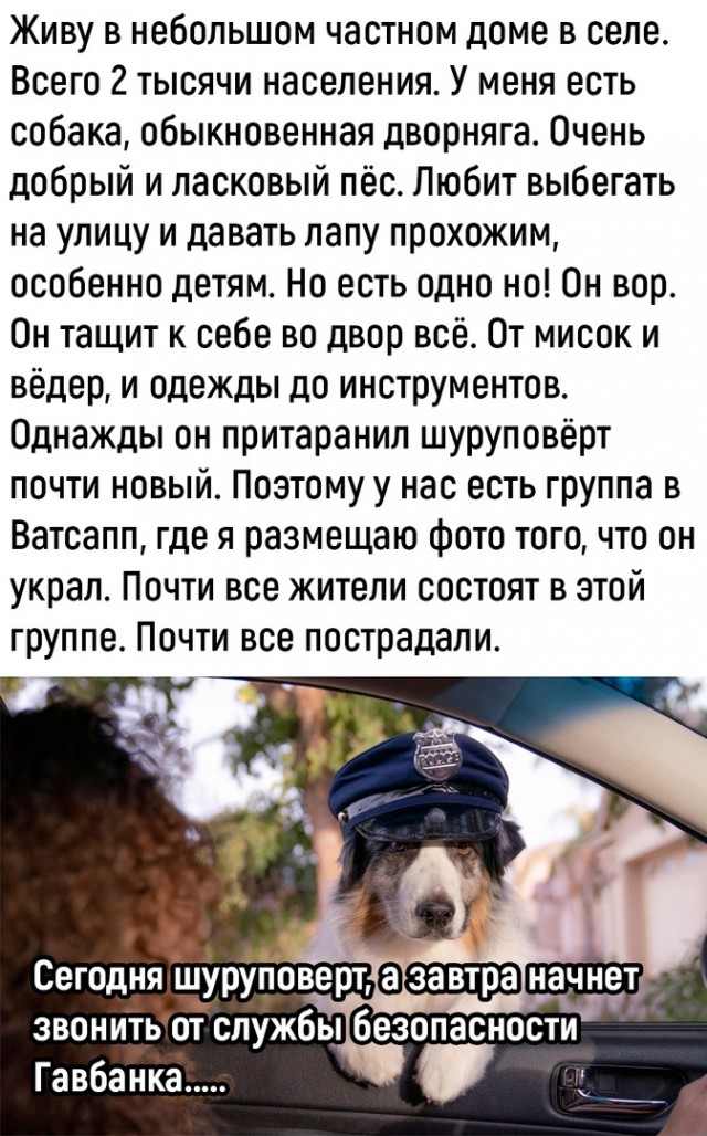 Так себе картинки 30.08.22