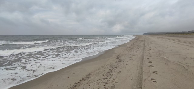 Красоты немного