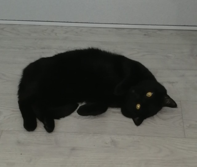Чёртик