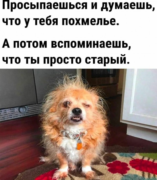Картинки и мемы, всем хороших выходных