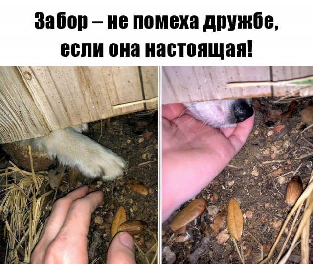 Немного картинок для настроения - 135