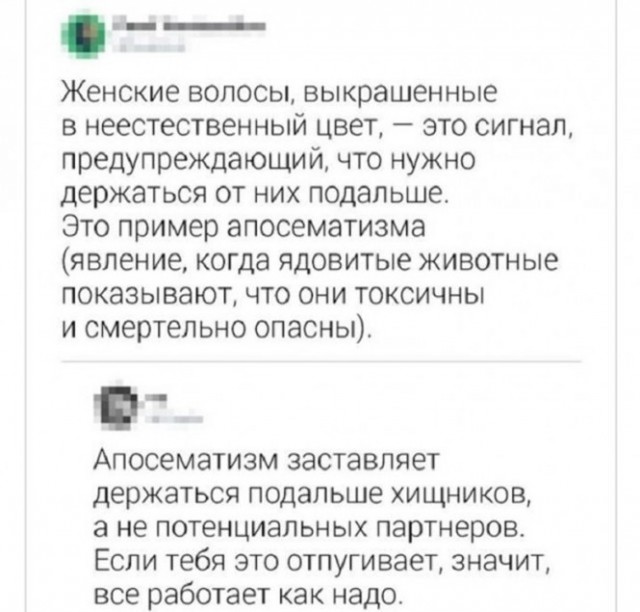 Забавные комментарии из социальных сетей (22.05.23)