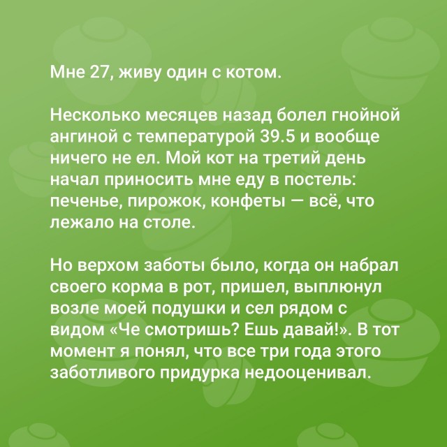 Так себе картинки 23.06.23