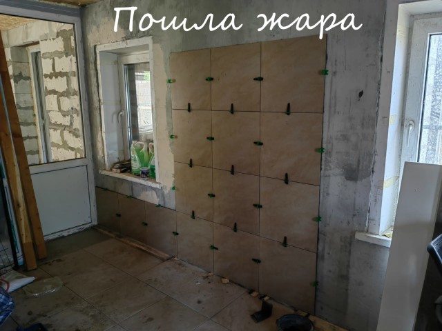Жизнь домашнего приюта "Котоленд" 394