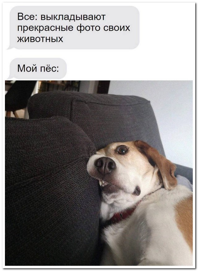 Забавные комментарии из социальных сетей (17.07.23)