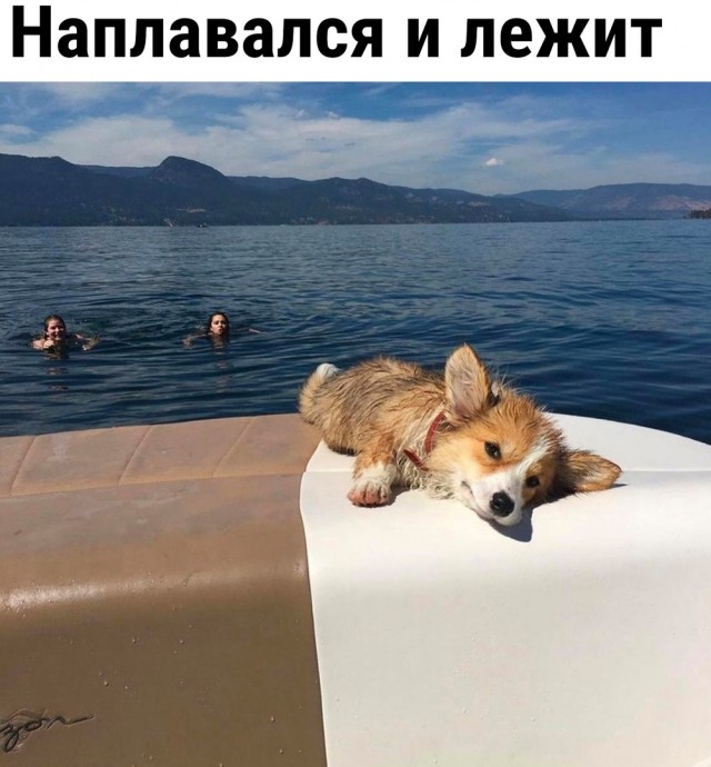 Так себе картинки 24.07.23