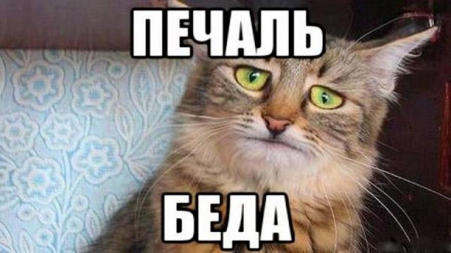 «Такое ощущение, что они вообще не убывают», — сотни некомплектных Lada Vesta NG на АвтоВАЗе показали на видео