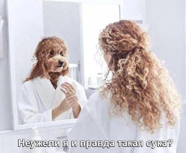 Фото подборка, от Скодеро