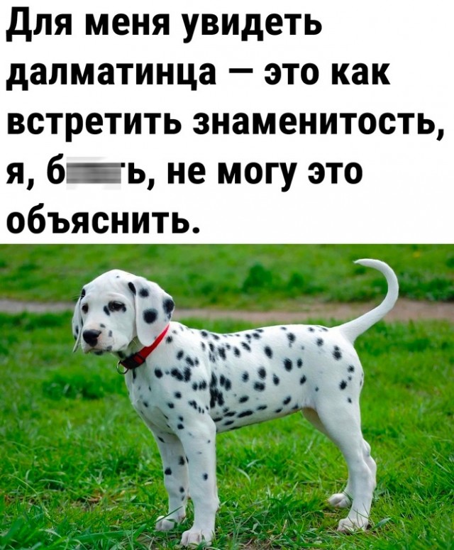 Так себе картинки 29.10.23