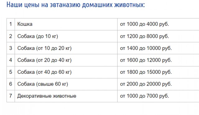 Почему же ты ушёл из ветеринарии?