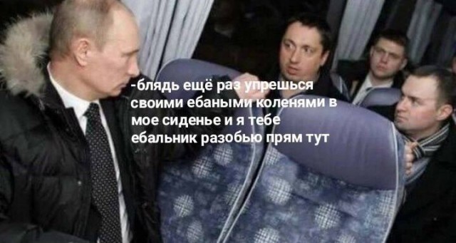Картинок подвезли