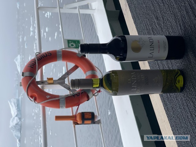 Тоже работа в море. Антарктика