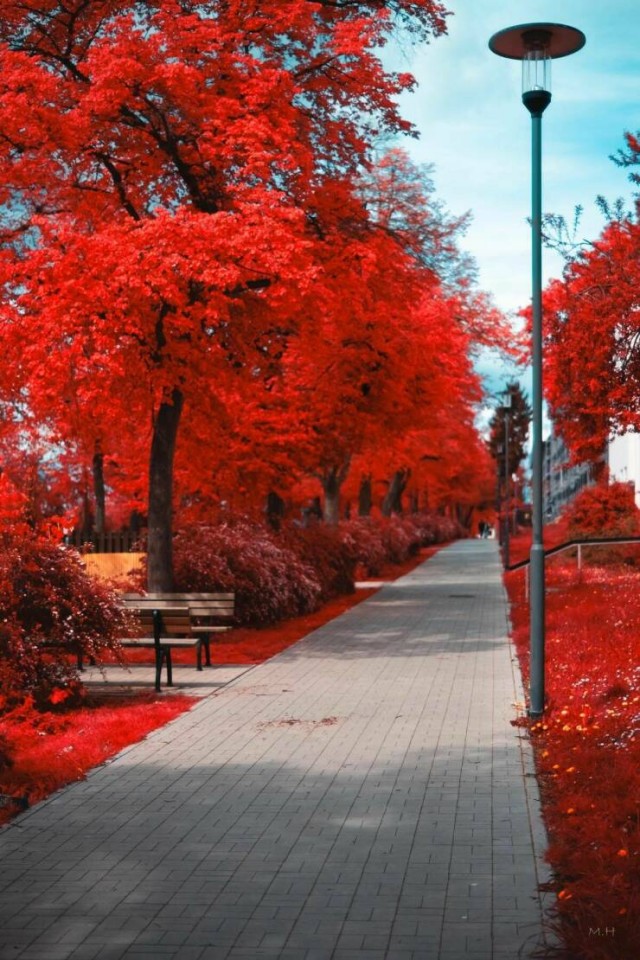 ФотоВинегрет