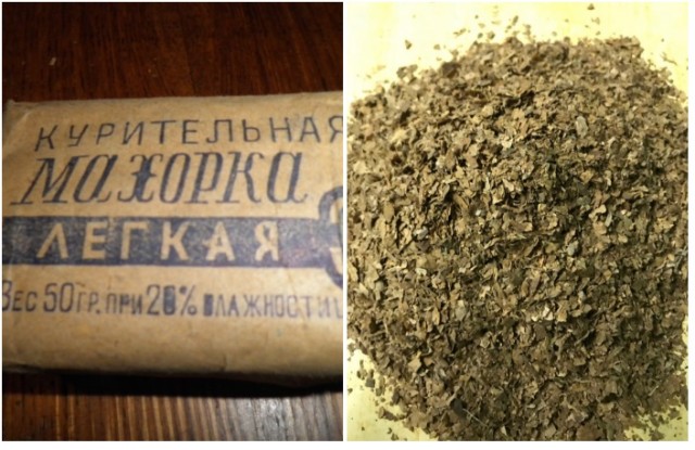 Чем махорка отличается от табака?