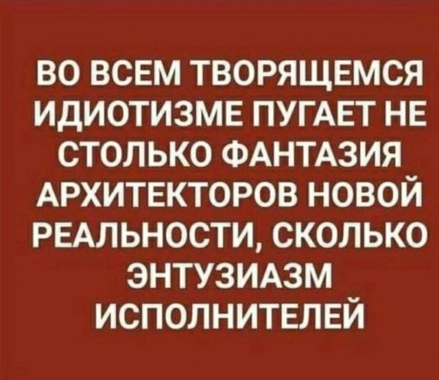 Путин подписал закон, исключающий Талибан* из списка запрещённых в России террористических организаций