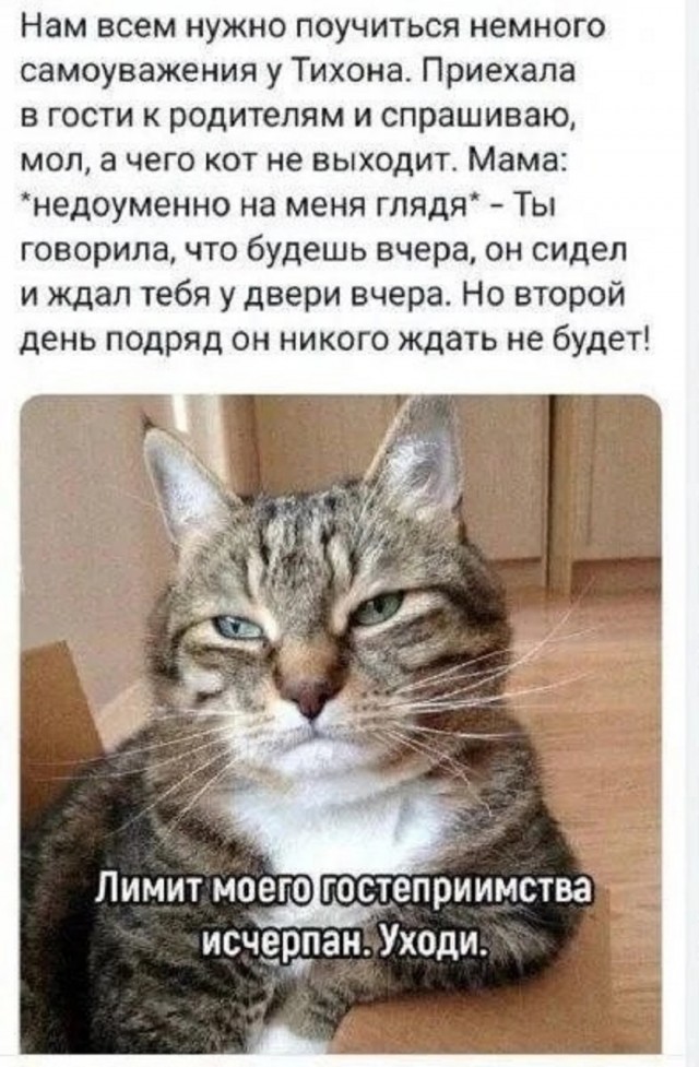 Так себе картинки 07.03.25