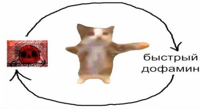 Тиктоки и рилсы опаснее алкоголя и марихуаны — исследование