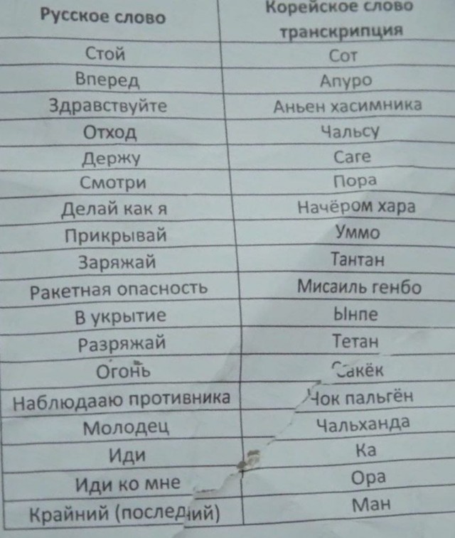 Аньен хасимника