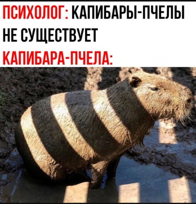 Жалуются на бояны местные.