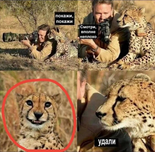 Завалялось тут случайно немного забавных картинок