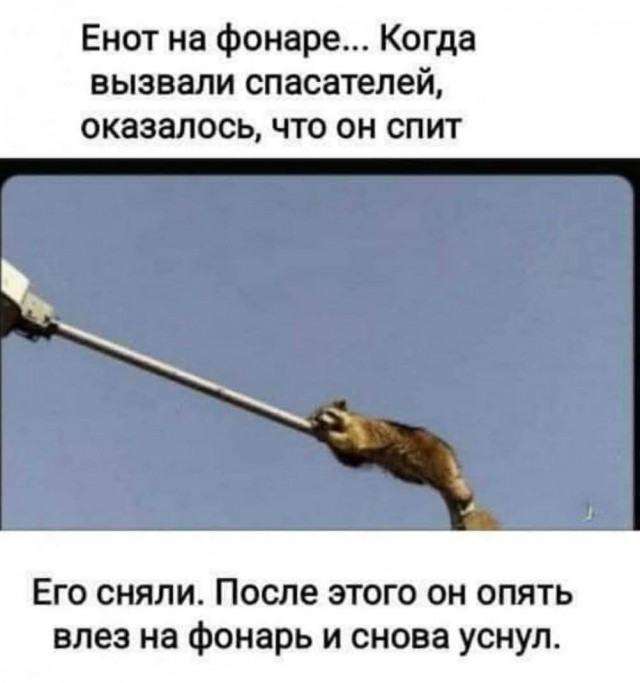 Веселое настроение в картинках (12.07.2025)