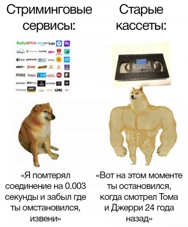 Веселые картинки в маленькую пятницу (13.08)