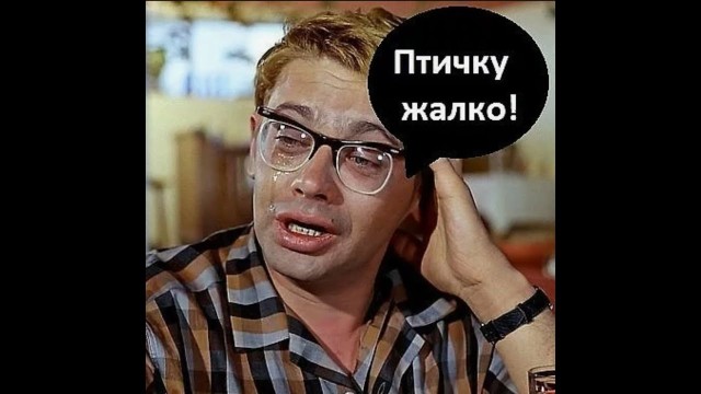 Додо-птица. Как человечество лишилось уникального вида?