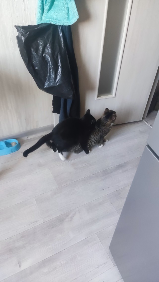 Всех с ктовторником