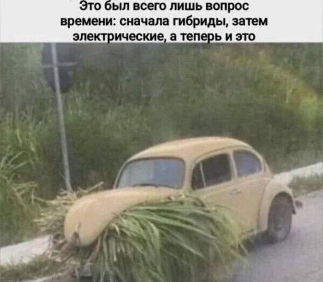 Веселые картинки в пятницу (17.10)