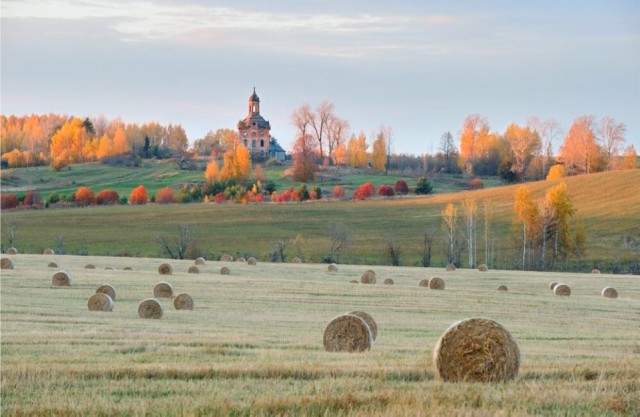 Красивые картинки