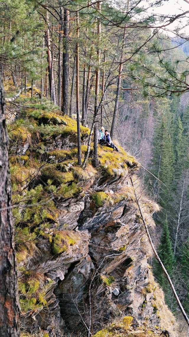 Айгир