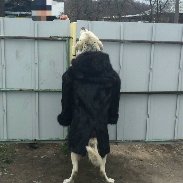Пятничные картинки