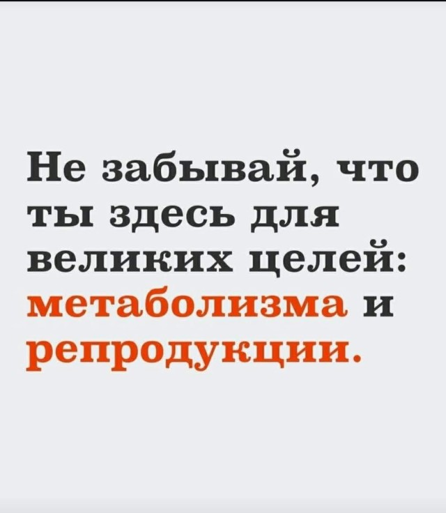 Субботние картинки