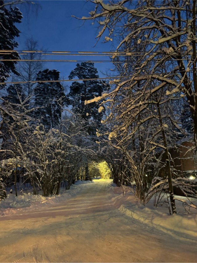 Зимняя дорога