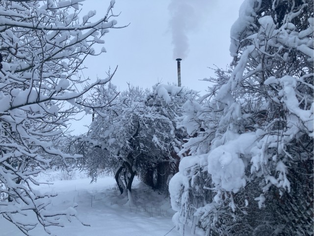 Прогулялся вчера