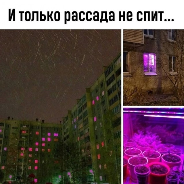 Пятничные картинки
