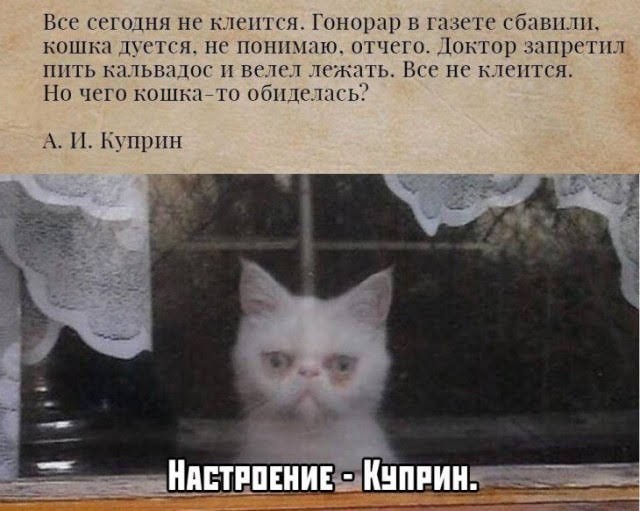 Бред, какой-то.