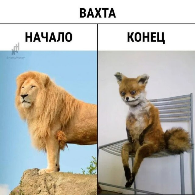 Один день на вахте