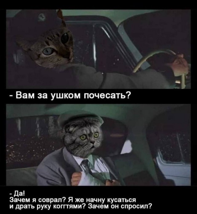 Картинки для деградации 173 (разной степени свежести)