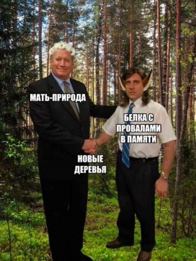 Воскресные картинки