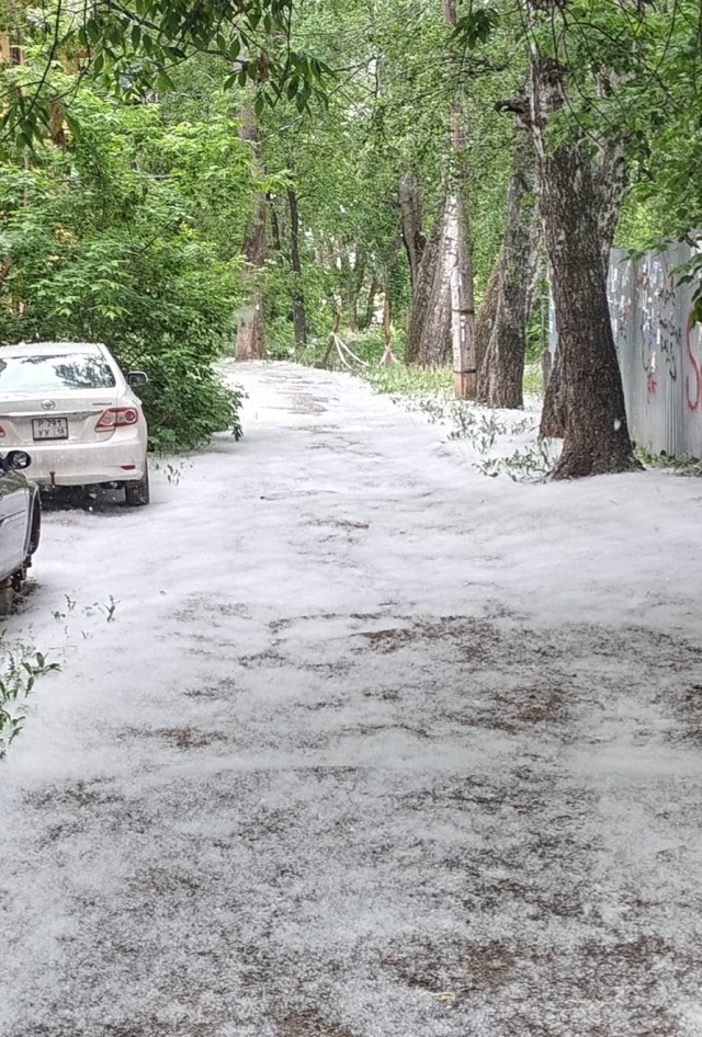 Едут сосут