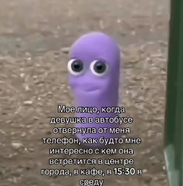 Вместо мозга — аппендикс