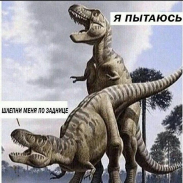 Скиньте рандомную хрень