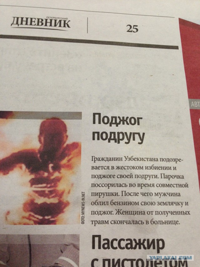 Грамматнасть и нтилехт вконтактовских обитателей