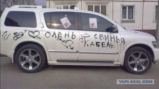 Ксенон дешево!