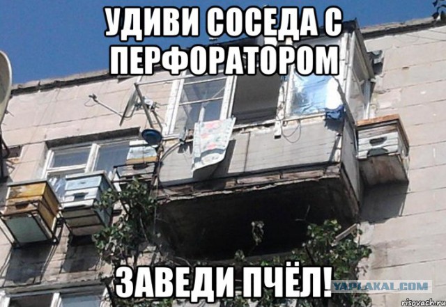 Немного позитива на пятницу.