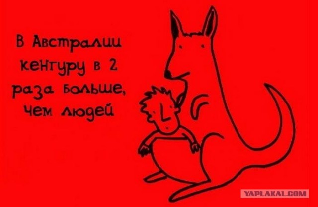Занимательные факты в картинках